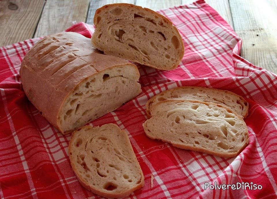pane con pasta madre