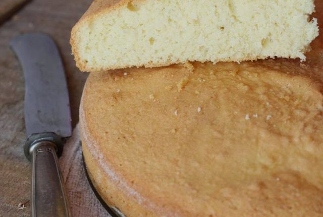 pan di spagna senza lattosio nichel