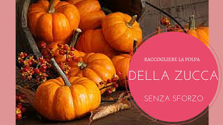 Come cucinare la zucca