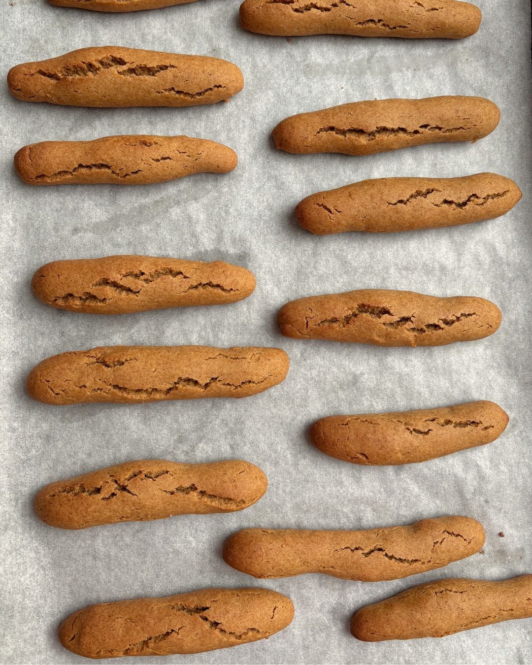 biscotti ai datteri SITO 3